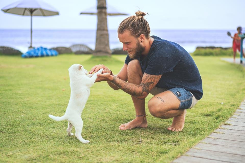 Un homme accroupi dans l'herbe joue avec un jeune chien blanc qui se dresse vers lui.