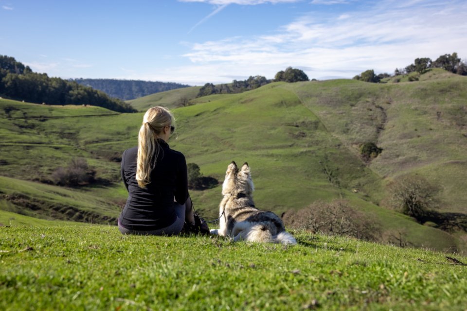 Une femme assise dans l'herbe d'un alpage, son chien couché à côté d'elle.