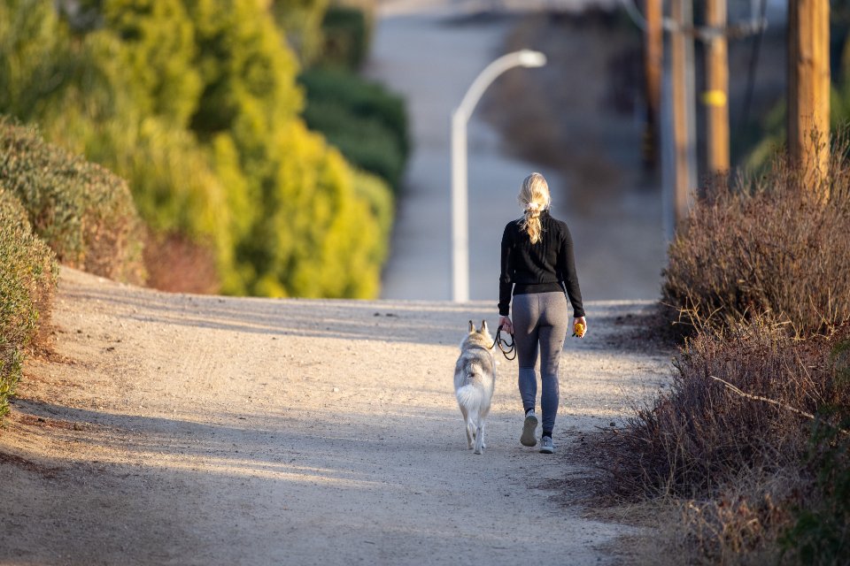 Une femme promène son chien en laisse sur un chemin.