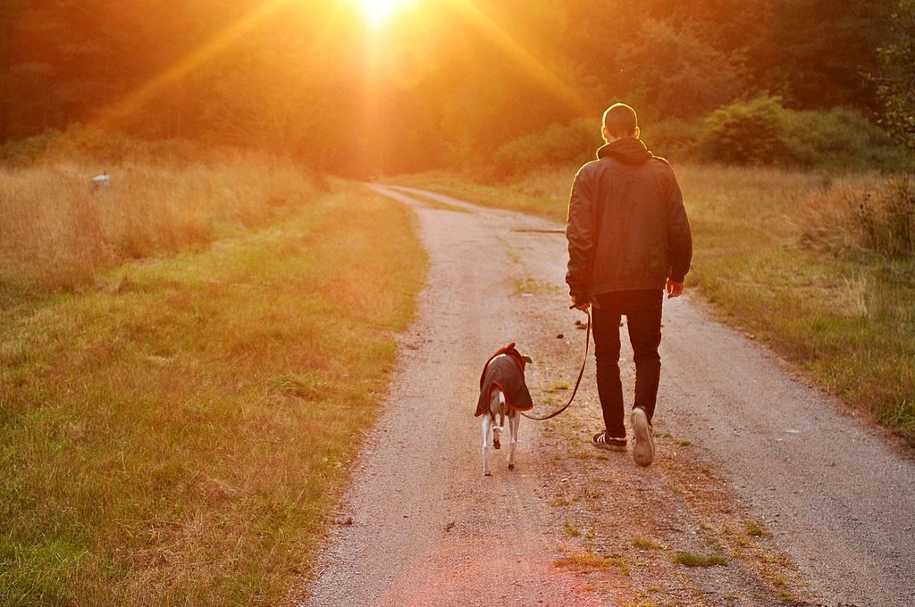 Un homme marche avec son chien sur un chemin de campagne, au soleil couchant.